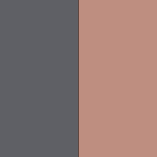 Gris & Saumon