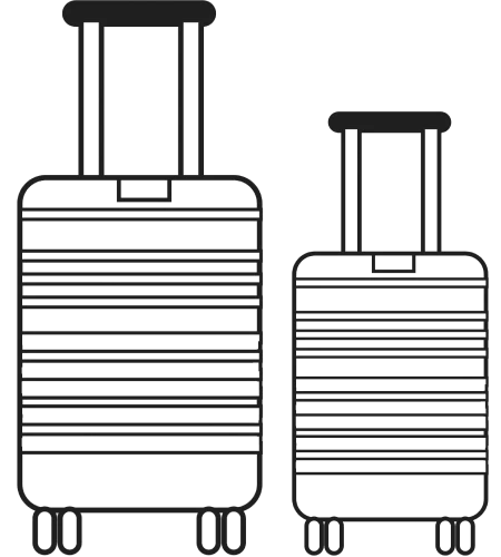 Luggage Icon