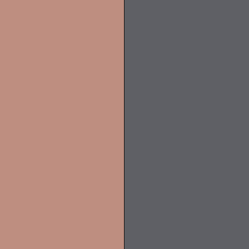 Saumon & Gris